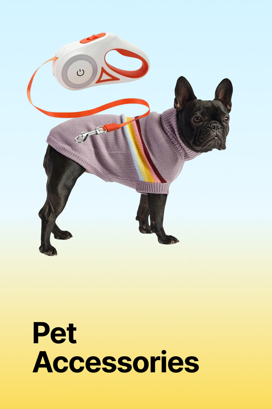 Pet Accessories